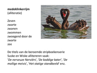 medeklinkerrijm (alliteratie)Zeven zwarte zwanen zwommen zwoegend door de zwarte zeeDe titels van de beroemde stripboekenserie Suske en Wiske allitereren vaak:'De nerveuze Nervi?rs', 'De koddige kater', 'De mollige meivis', 'Het statige standbeeld' enz.