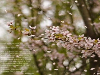 Cînd am să trec prin moarte, mi-oi desfrunzi atomii precum de vînt şi ploaie se scutur’ toamna pomii. Şi am să ies din lume voios printr-o spărtură pe care-o s-o astupe zidarul cu-a mea gură. Fii vesel, căci tristeţea o să dureze pururi ! Mereu aceleaşi stele s-or învîrti-n azururi. Din cărămizi făcute din trupul tău, n-ai teamă, se vor zidi palate pentru neghiobi de seamă. Tu îţi evoci strămoşii ? Sunt ţărnă în ţărînă. Gîndeşti la al lor merit ? Priveşte cum surîd. Să bem ! Şi, fără teamă, să ascultăm din vid tăcerea fără nume pe univers stăpînă. O.  Khayy á m 
