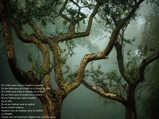 Eu am trecut prin el. El a trecut prin mine. Eu am rămas un pom singur. El un om singur. N. Stănescu El a întins spre mine o frunză cu degete. Eu am întins spre el o mînă ca o frunză cu dinţi. El a întins spre mine o ramură ca un braţ . Eu am întins spre el braţul ca o ramură. El şi-a înclinat spre mine trunchiul ca un măr. Eu mi-am înclinat spre el umărul ca un trunchi noduros. Auzeam cum se-nteţeşte seva lui bătînd ca sîngele. Auzea cum se încetineşte sîngele meu suind ca seva. 