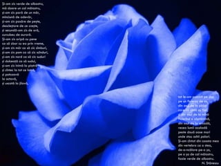 Şi-am zis verde de albastru, mă doare un cal măiastru, şi-am zis pară de un măr, minciună de adevăr, şi-am zis pasăre de peşte, descleştare de ce creşte, şi secundă-am zis de oră, curcubeu de auroră. Şi-am zis aripă cu pene ca să zbor cu ea prin vreme, şi-am zis măr ca să zic sîmburi, şi-am zis pom ca să zic scînduri, şi-am zis nord ca să zic suduri şi dulceaţă ca să sudui, şi-am zis inimă la piatră şi cîntec la tot ce latră, şi potcoavă la octavă, şi uscată la jilavă, tot le-am potrivit pe dos pe un fluieraş de os, din osul de la picior care-mi cîntă cu fior, şi din osul de la mînă fluierînd o săptămînă, din osul de la arcadă, recea lumii acoladă peste două oase mari unde stau ochii polari. Şi-am cîntat din coasta mea din vertebra ca o stea, de-a-ncălare pe-o şa, pe o şa de cal măiastru, foaie verde de albastru. N.  Stănescu 