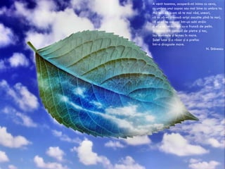 A venit toamna, acoperă-mi inima cu ceva, cu umbra unui copac sau mai bine cu umbra ta. Mă tem că n-am să te mai văd, uneori, că or să-mi crească aripi ascuţite pînă la nori, că ai să te ascunzi într-un ochi străin şi el o să se-nchidă cu-o frunză de pelin. Şi-atunci mă apropii de pietre şi tac, iau cuvintele şi le-nec în mare. Şuier luna şi o răsar şi o prefac într-o dragoste mare. N. Stănescu 