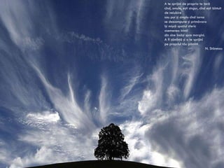 A te sprijini de propria ta ţară cînd, omule, eşti singur, cînd eşti bîntuit de neiubire sau pur şi simplu cînd iarna se descompune şi primăvara îşi mişcă spaţiul sferic asemenea inimii din sine însăşi spre margini. A fi sămînţă şi a te sprijini pe propriul tău pămînt. N. Stănescu 