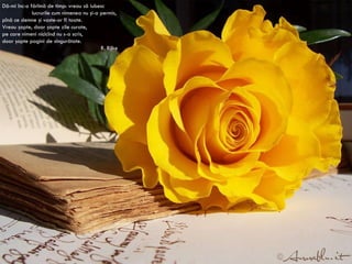 Dă-mi înc-o fărîmă de timp: vreau să iubesc lucrurile cum nimenea nu şi-a permis, pînă ce demne şi vaste-or fi toate. Vreau şapte, doar şapte zile curate, pe care nimeni nicicînd nu s-a scris, doar şapte pagini de singurătate. R.  Rilke 