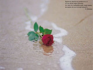 Spune-mi, dacă te-aş prinde-ntr-o zi şi ţi-aş săruta talpa piciorului, nu-i aşa că ai şchiopăta puţin, după aceea, de teamă să nu-mi striveşti sărutul ?... N.  Stănescu 