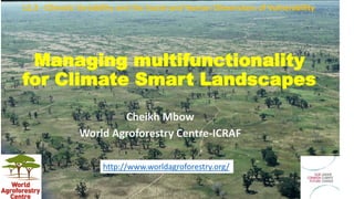 Managing multifunctionality
for Climate Smart Landscapes
Cheikh Mbow
World Agroforestry Centre-ICRAF
L2.3 - Climatic Variability and the Social and Human Dimensions of Vulnerability
http://www.worldagroforestry.org/
 