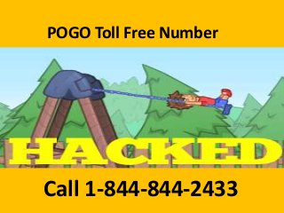POGO Toll Free Number
Call 1-844-844-2433
 
