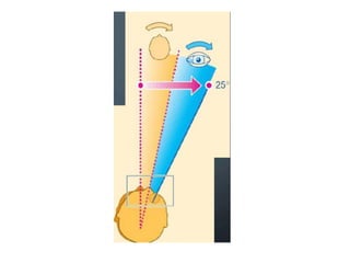 Pogressive additional lenses | PDF