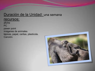 Duración de la Unidad: una semana
recursos:
afiche
PC
pawer point
imágenes de animales
lápices, papel, ceritas, plasticola.
Canción.
 