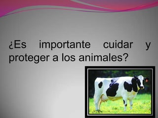 ¿Es importante cuidar      y
proteger a los animales?
 
