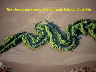Řeka lemovaná stromy, Národní park Kakadu, Austrálie 