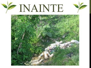 INAINTE
 