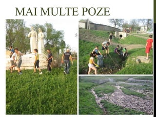 MAI MULTE POZE
 