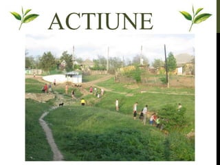 ACTIUNE
 