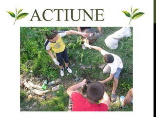 ACTIUNE
 