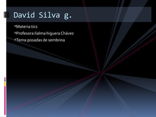 ºMateria:tics ºProfesora:lialma higuera Chávez ºTema:posadas de sembrina David Silva g. 