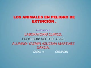 LOS ANIMALES EN PELIGRO DE
EXTINCIÓN .
ESPECIALIDAD:

LABORATORIO CLINICO.
PROFESOR: HECTOR DIAZ.
ALUMNO: YAZMIN AZUCENA MARTINEZ
GARCIA.
GRDO :1

GRUPO:R

 