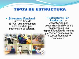  Estructura Funcional:
En este tipo de
estructura la empresa
esta dividida por
sectores o secciones.
Estructuras Por
Productos: se
caracteriza por
presentar dentro de su
organización una
especialización de tareas
y obtener economía de
recursos humanos y
económicos.