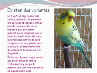 Existen dos variantes La T.A.A. es algo mucho más serio y ordenado. Se plantean una serie de objetivos y metas para la recuperación de un paciente que, por norma general, no ha mejorado con la medicina tradicional. Así pues, los progresos dentro de esta terapia se van recogiendo para el estudio, el establecimiento de valores en la evolución y el diagnóstico.  Éstos son algunos rasgos por los que se diferencian ambos tratamientos y porque la persona que controla el proceso es alguien cualificado 
