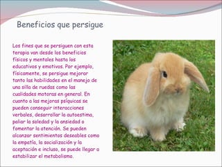 Beneficios que persigue Los fines que se persiguen con esta terapia van desde los beneficios físicos y mentales hasta los educativos y emotivos. Por ejemplo, físicamente, se persigue mejorar tanto las habilidades en el manejo de una silla de ruedas como las cualidades motoras en general. En cuanto a las mejoras psíquicas se pueden conseguir interacciones verbales, desarrollar la autoestima, paliar la soledad y la ansiedad o fomentar la atención. Se pueden alcanzar sentimientos deseables como la empatía, la socialización y la aceptación e incluso, se puede llegar a estabilizar el metabolismo. 