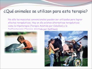 No sólo las mascotas convencionales pueden ser utilizadas para lograr efectos terapéuticos. Hoy en día existen alternativas terapéuticas como la Hipoterapia (Terapia Asistida por Caballos) y la Delfinoterapia (Terapia Asistida por Delfines). 