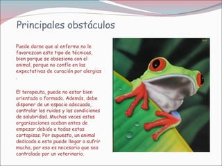 Principales obstáculos Puede darse que al enfermo no le favorezcan este tipo de técnicas, bien porque se obsesiona con el animal, porque no confíe en las expectativas de curación por alergias . El terapeuta, puede no estar bien orientado o formado. Además, debe disponer de un espacio adecuado, controlar los ruidos y las condiciones de salubridad. Muchas veces estas organizaciones acaban antes de empezar debido a todas estas cortapisas. Por supuesto, un animal dedicado a esto puede llegar a sufrir mucho, por eso es necesario que sea controlado por un veterinario. 