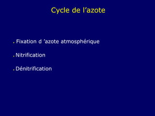 CYCLES BIOGÉOCHIMIQUES : L'azote - Encyclopædia Universalis