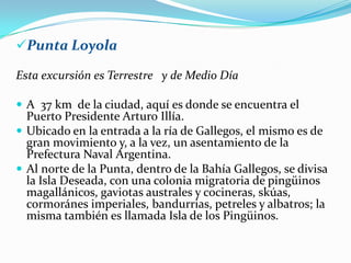 Punta Loyola

Esta excursión es Terrestre y de Medio Día

 A 37 km de la ciudad, aquí es donde se encuentra el
  Puerto Presidente Arturo Illía.
 Ubicado en la entrada a la ría de Gallegos, el mismo es de
  gran movimiento y, a la vez, un asentamiento de la
  Prefectura Naval Argentina.
 Al norte de la Punta, dentro de la Bahía Gallegos, se divisa
  la Isla Deseada, con una colonia migratoria de pingüinos
  magallánicos, gaviotas australes y cocineras, skúas,
  cormoránes imperiales, bandurrias, petreles y albatros; la
  misma también es llamada Isla de los Pingüinos.
 