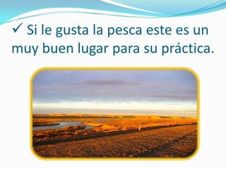  Si le gusta la pesca este es un
muy buen lugar para su práctica.
 