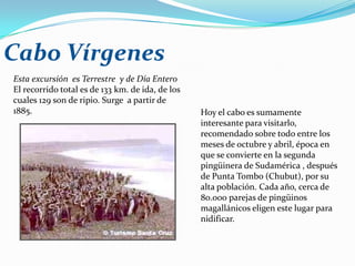Cabo Vírgenes
Esta excursión es Terrestre y de Día Entero
El recorrido total es de 133 km. de ida, de los
cuales 129 son de ripio. Surge a partir de
1885.                                             Hoy el cabo es sumamente
                                                  interesante para visitarlo,
                                                  recomendado sobre todo entre los
                                                  meses de octubre y abril, época en
                                                  que se convierte en la segunda
                                                  pingüinera de Sudamérica , después
                                                  de Punta Tombo (Chubut), por su
                                                  alta población. Cada año, cerca de
                                                  80.000 parejas de pingüinos
                                                  magallánicos eligen este lugar para
                                                  nidificar.
 