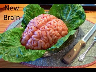 New Brain
