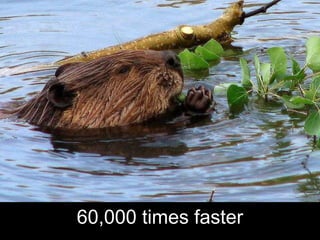 60,000 times faster