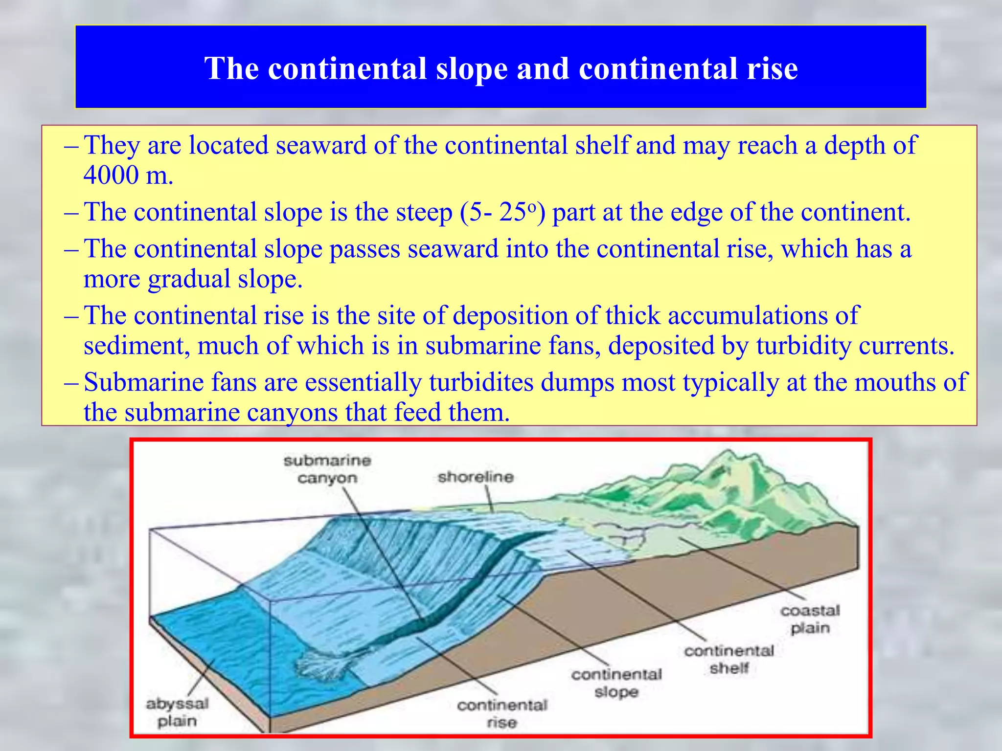 The continental slope and continental rise
– They are located seaward of the continental shelf and may reach a depth of
4000 m.
– The continental slope is the steep (5- 25o) part at the edge of the continent.
– The continental slope passes seaward into the continental rise, which has a
more gradual slope.
– The continental rise is the site of deposition of thick accumulations of
sediment, much of which is in submarine fans, deposited by turbidity currents.
– Submarine fans are essentially turbidites dumps most typically at the mouths of
the submarine canyons that feed them.
 