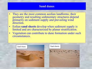 Sand dunes
• They are the most common aeolian landforms; their
geometry and resulting sedimentary structures depend
primarily on sediment supply and prevailing wind
direction.
• Eolian sand sheets develop when sediment supply is
limited and are characterized by planar stratification.
• Vegetation can contribute to dune formation under such
circumstances.
 