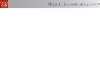 Phase II: Expression Recovery
 