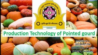 .Production Technology of Pointed gourd
 