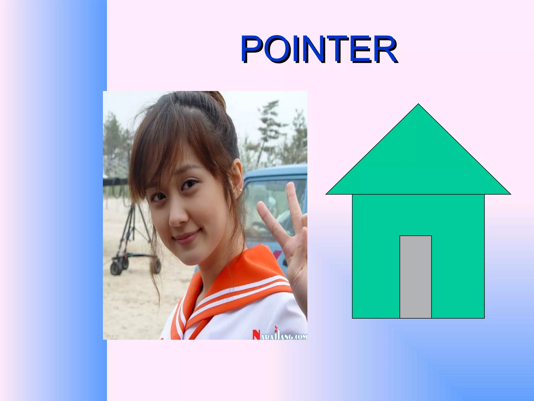 POINTER 