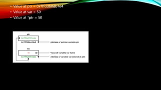 • Value at ptr = 0x7ffddb0db7e4
• Value at var = 50
• Value at *ptr = 50
 