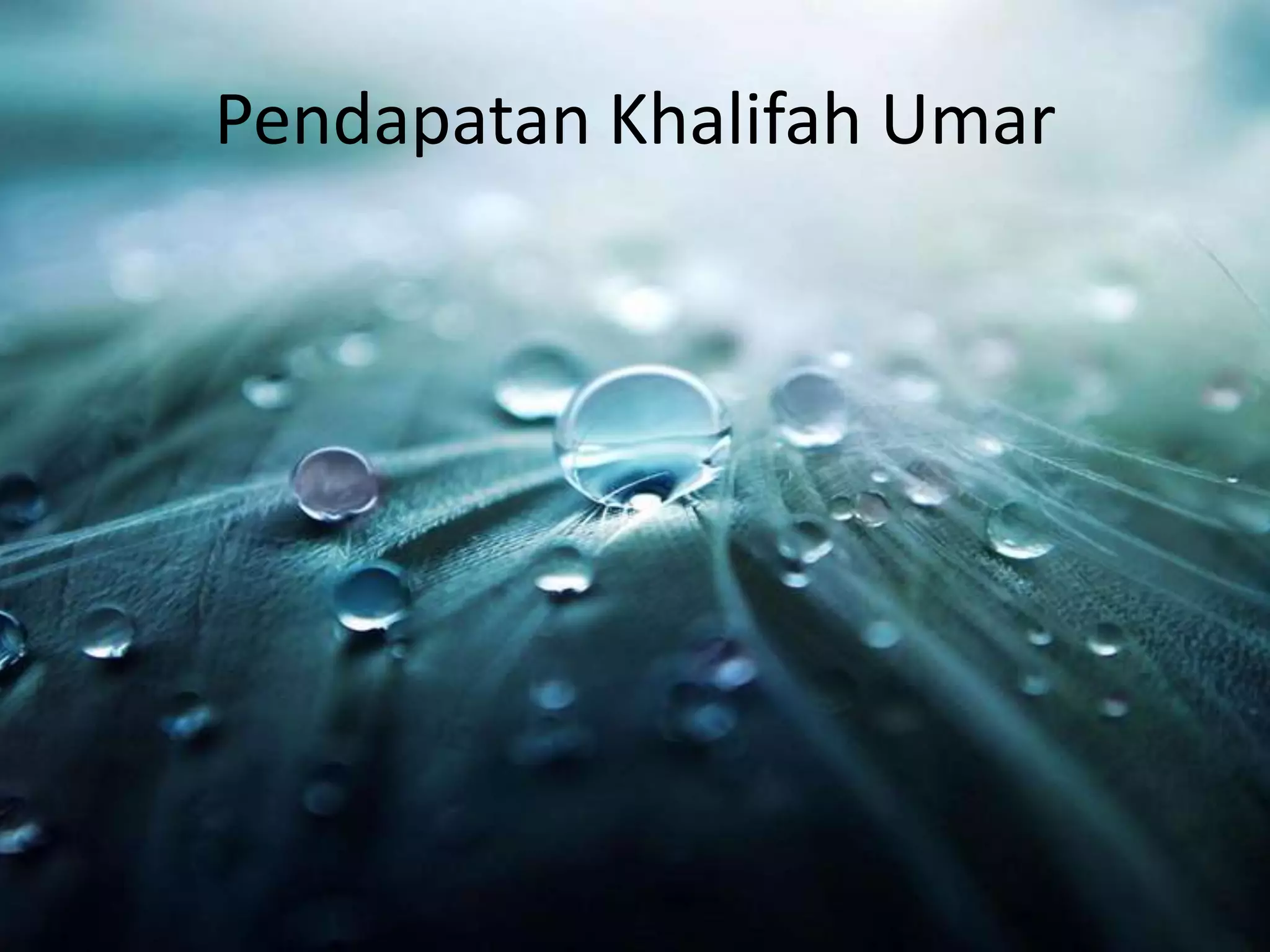 Pendapatan Khalifah Umar
 