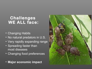 Challenges
WE ALL face:
• Changing Habits
• No natural predators in U.S.
• Very rapidly expanding range
• Spreading faster than
most diseases
• Changing food preferences
• Major economic impact
 
