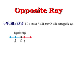 Opposite Ray
Opposite Ray
 