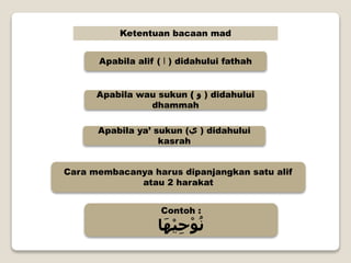 Ketentuan bacaan mad
Apabila alif ( ‫ا‬ ) didahului fathah
Apabila wau sukun ( ‫و‬ ) didahului
dhammah
Apabila ya’ sukun (‫ي‬ ) didahului
kasrah
Cara membacanya harus dipanjangkan satu alif
atau 2 harakat
Contoh :
‫ا‬َ‫ه‬ْ‫ي‬ِ‫ح‬ْ‫و‬ُ‫ن‬
 