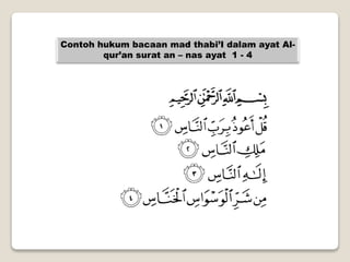 Contoh hukum bacaan mad thabi’I dalam ayat Al-
qur’an surat an – nas ayat 1 - 4
 