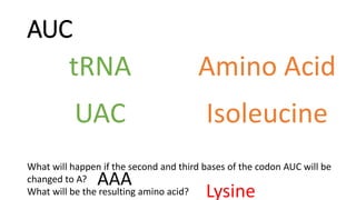 AUC
Amino Acid
tRNA
UAC Isoleucine
What will happen if the second and third bases of the codon AUC will be
changed to A?
What will be the resulting amino acid?
AAA
Lysine
 