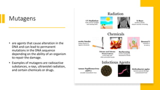 Mutagens
• are agents that cause alteration in the
DNA and can lead to permanent
mutations in the DNA sequence
depending on the ability of an organism
to repair the damage.
• Examples of mutagens are radioactive
substances, x-rays, ultraviolet radiation,
and certain chemicals or drugs.
 