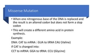 Missense Mutation
• When one nitrogenous base of the DNA is replaced and
the result is an altered codon but does not form a stop
codon
• This will create a different amino acid in protein
synthesis.
Example:
DNA: CAT to mRNA : GUA to tRNA CAU (Valine)
If CAT is changed into:
CCT to mRNA: GGA to tRNA: CCU (Glycine)
 