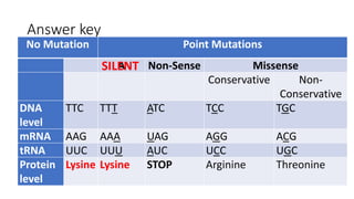 Answer key
No Mutation Point Mutations
A Non-Sense Missense
Conservative Non-
Conservative
DNA
level
TTC TTT ATC TCC TGC
mRNA AAG AAA UAG AGG ACG
tRNA UUC UUU AUC UCC UGC
Protein
level
Lysine Lysine STOP Arginine Threonine
SILENT
 