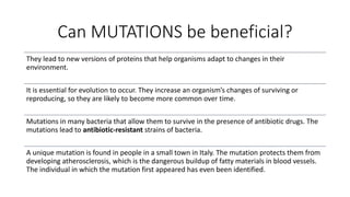 Can MUTATIONS be beneficial?
They lead to new versions of proteins that help organisms adapt to changes in their
environment.
It is essential for evolution to occur. They increase an organism’s changes of surviving or
reproducing, so they are likely to become more common over time.
Mutations in many bacteria that allow them to survive in the presence of antibiotic drugs. The
mutations lead to antibiotic-resistant strains of bacteria.
A unique mutation is found in people in a small town in Italy. The mutation protects them from
developing atherosclerosis, which is the dangerous buildup of fatty materials in blood vessels.
The individual in which the mutation first appeared has even been identified.
 