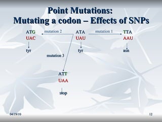 Point mutations ppt | PPT