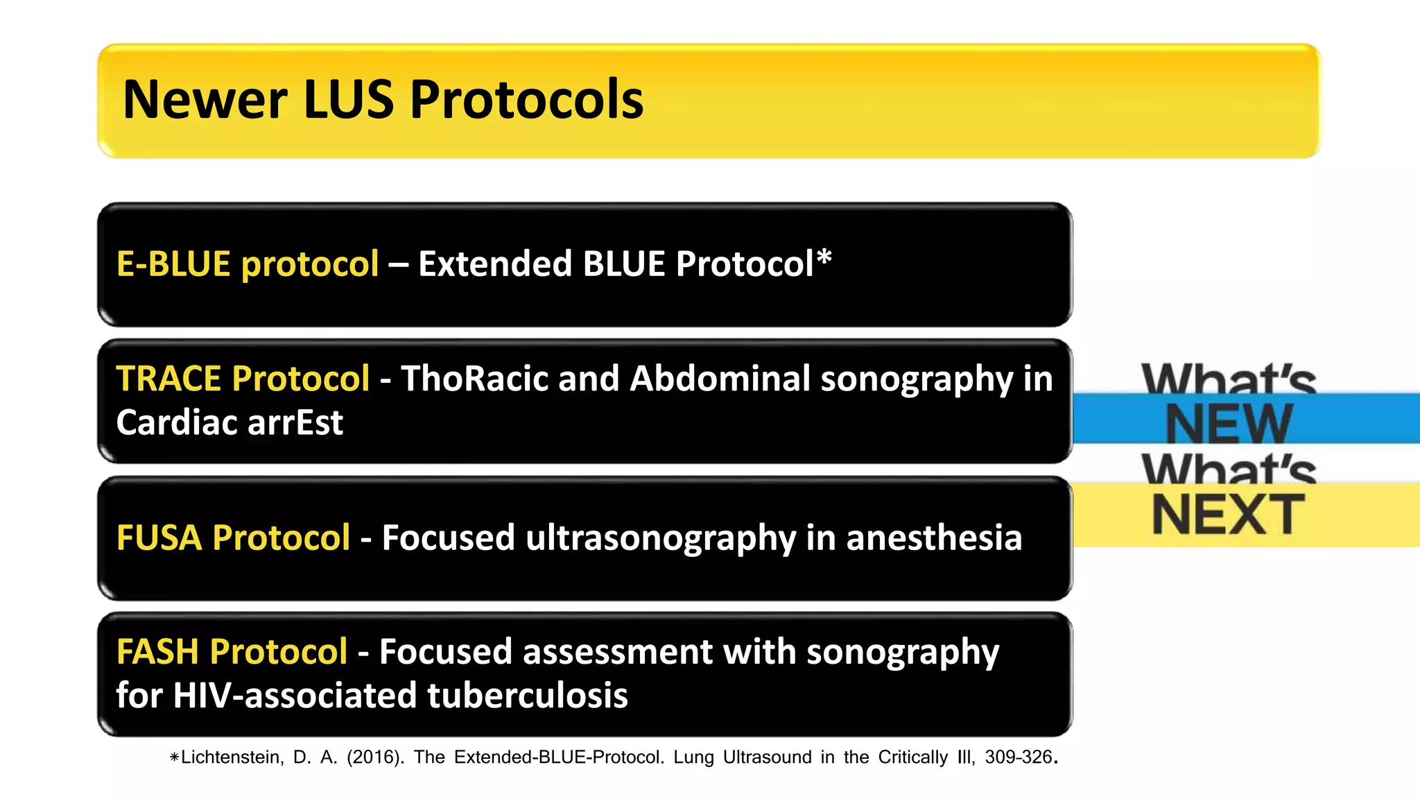 Lev Protocol Songraph Point of Care Lung Ultrasound | PPTX