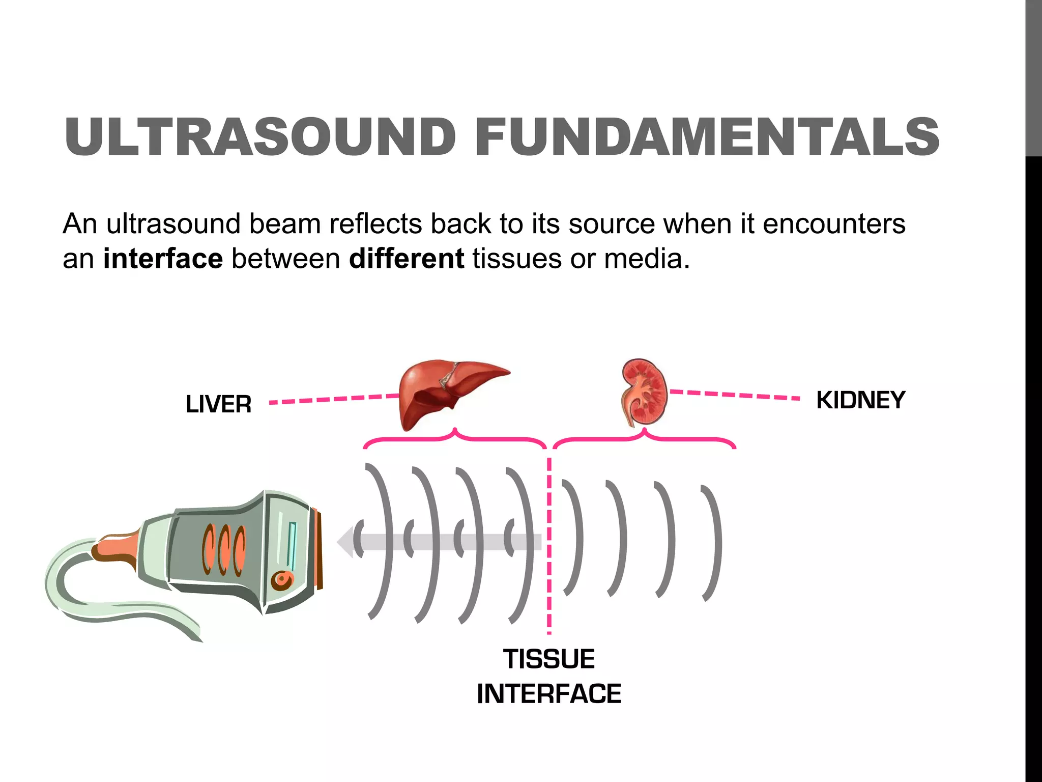 Point of Care Ultrasound - Hyperechoic Future in Family Practice? | PDF ...